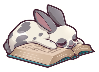 Sleepy bunny book Sleepy bunny book